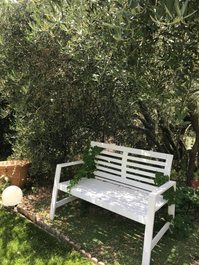 Chambre D Hotes Au Coeur Des Oliviers Μασσαλία Εξωτερικό φωτογραφία