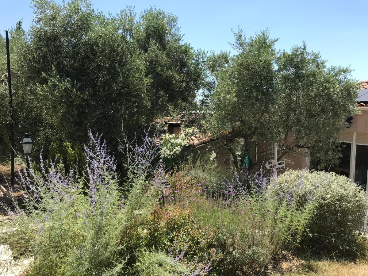 Chambre D Hotes Au Coeur Des Oliviers Μασσαλία Εξωτερικό φωτογραφία