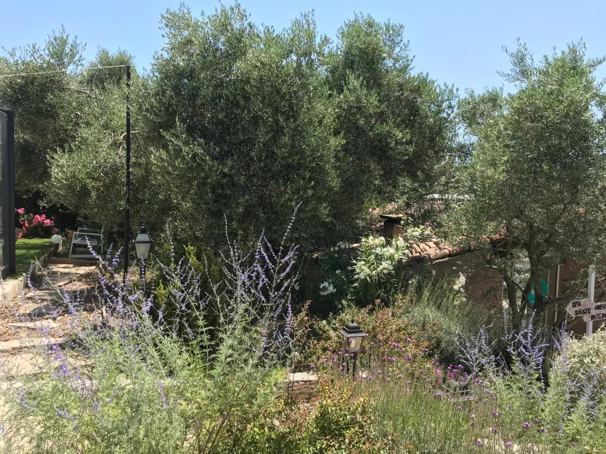 Chambre D Hotes Au Coeur Des Oliviers Μασσαλία Εξωτερικό φωτογραφία