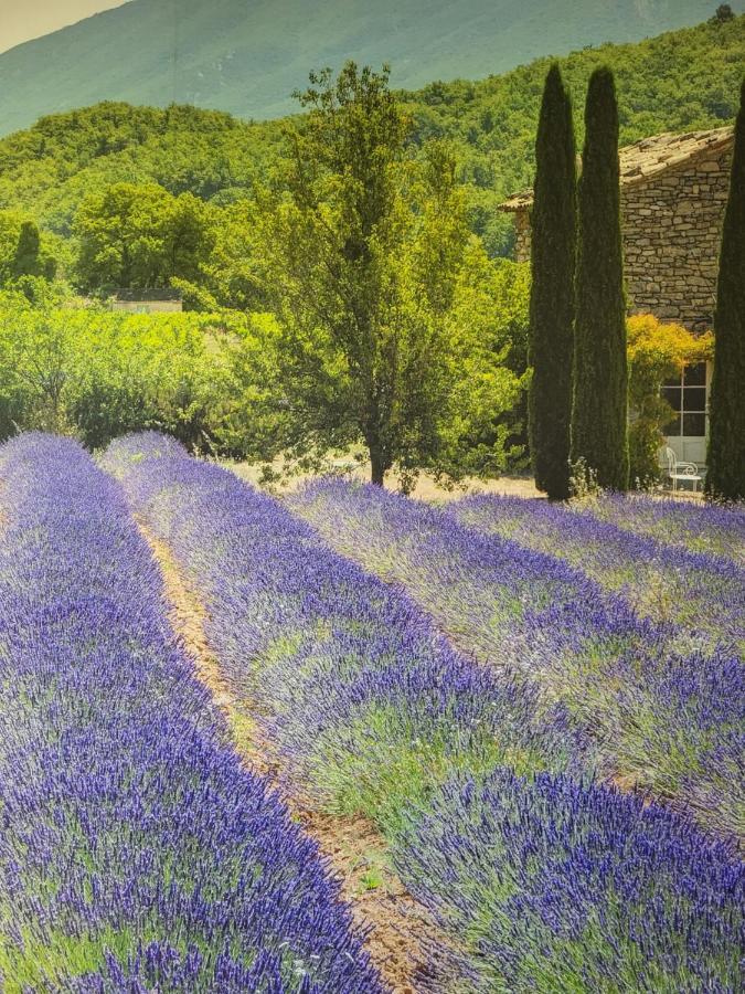 Chambre D Hotes Au Coeur Des Oliviers Μασσαλία Εξωτερικό φωτογραφία